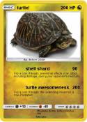 turtle!
