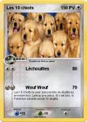 Les 10 chiots