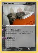 Chat ronron