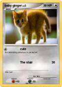 baby ginger