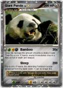 Giant Panda