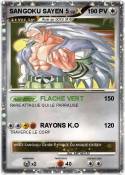 SANGOKU SAYEN