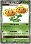 double sunflowe