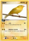 canari