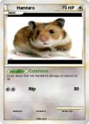 Hamtaro