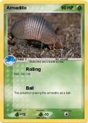 Armadillo