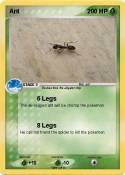 Ant