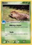 Beaver