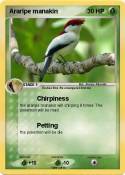 Araripe manakin
