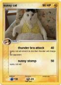 sussy cat