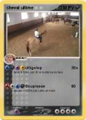 cheval ultime