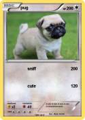 pug