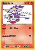 Blaze the cat