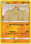 Doge