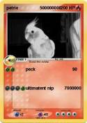 petrie 50000000