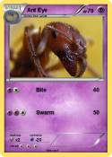 Ant Eye