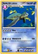 Turtle EX