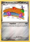 Cell Membrane