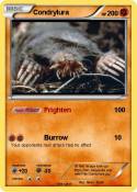 Condrylura