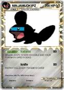 NINJAMUDKIPZ