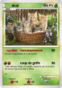 dicat