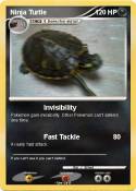 Ninja Turtle