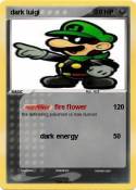 dark luigi