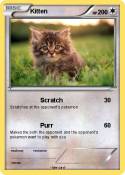 Kitten