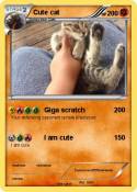 Cute cat