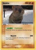 Quokka