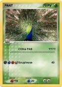 PANT