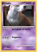 am'staffie