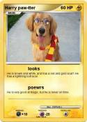 Harry paw-tter