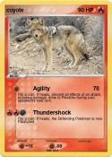 coyote