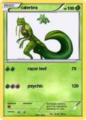 caterbra
