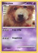 chow-chow