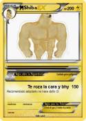 Shiba