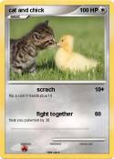 cat and chick