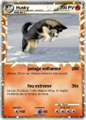 Husky