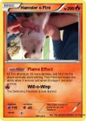 Hamster o Fire