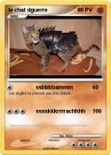 le chat dguerre