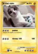 le chat vidéo