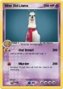 Wise Old Llama
