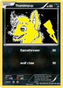 Thunderpup