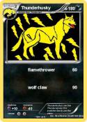 Thunderhusky