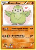 Obeese bird