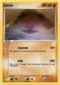 hamter