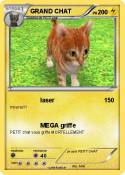 GRAND CHAT