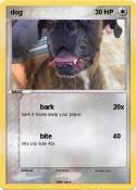 dog