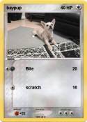 baypup